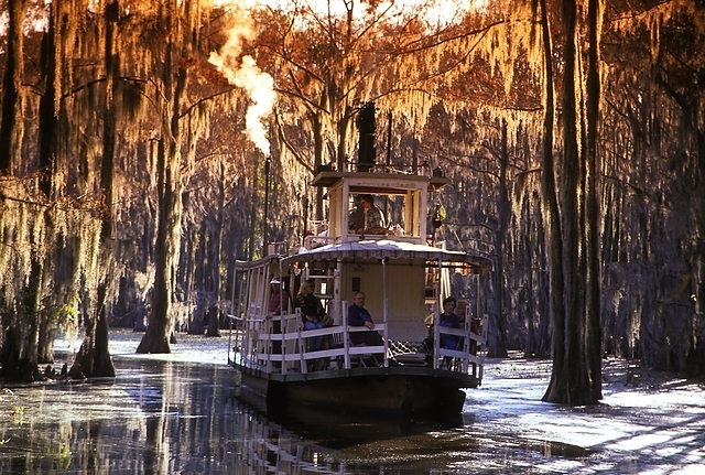 caddo lake tours graceful ghost